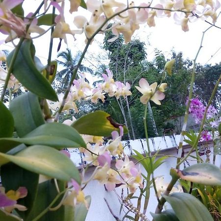 מלון Katunayaka Cacao מראה חיצוני תמונה